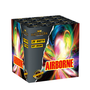 Hallmark Cakes £15 to £30 : AIRBORNE