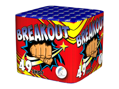 Absolute Cakes £30 to £50 : BREAKOUT