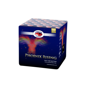 Celtic Cakes £30 to £50 : PHOENIX RISING