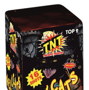 TNT Cakes up to £15 : HELLCATS
