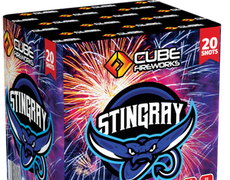 Cube Cakes £15 to £30 : STINGRAY